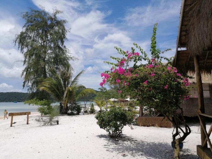 Green Blue Beach Hostel Koh Rong Samlon Eksteriør billede